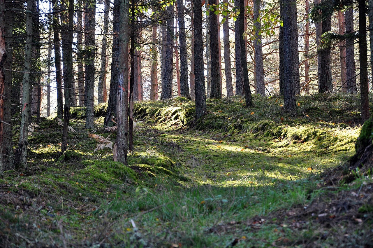 Historisk jakt – föredrag med middag